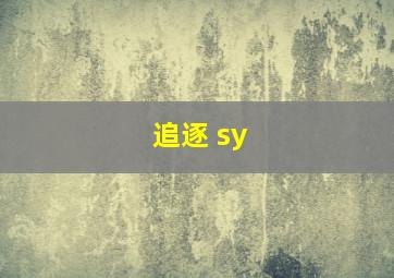 追逐 sy